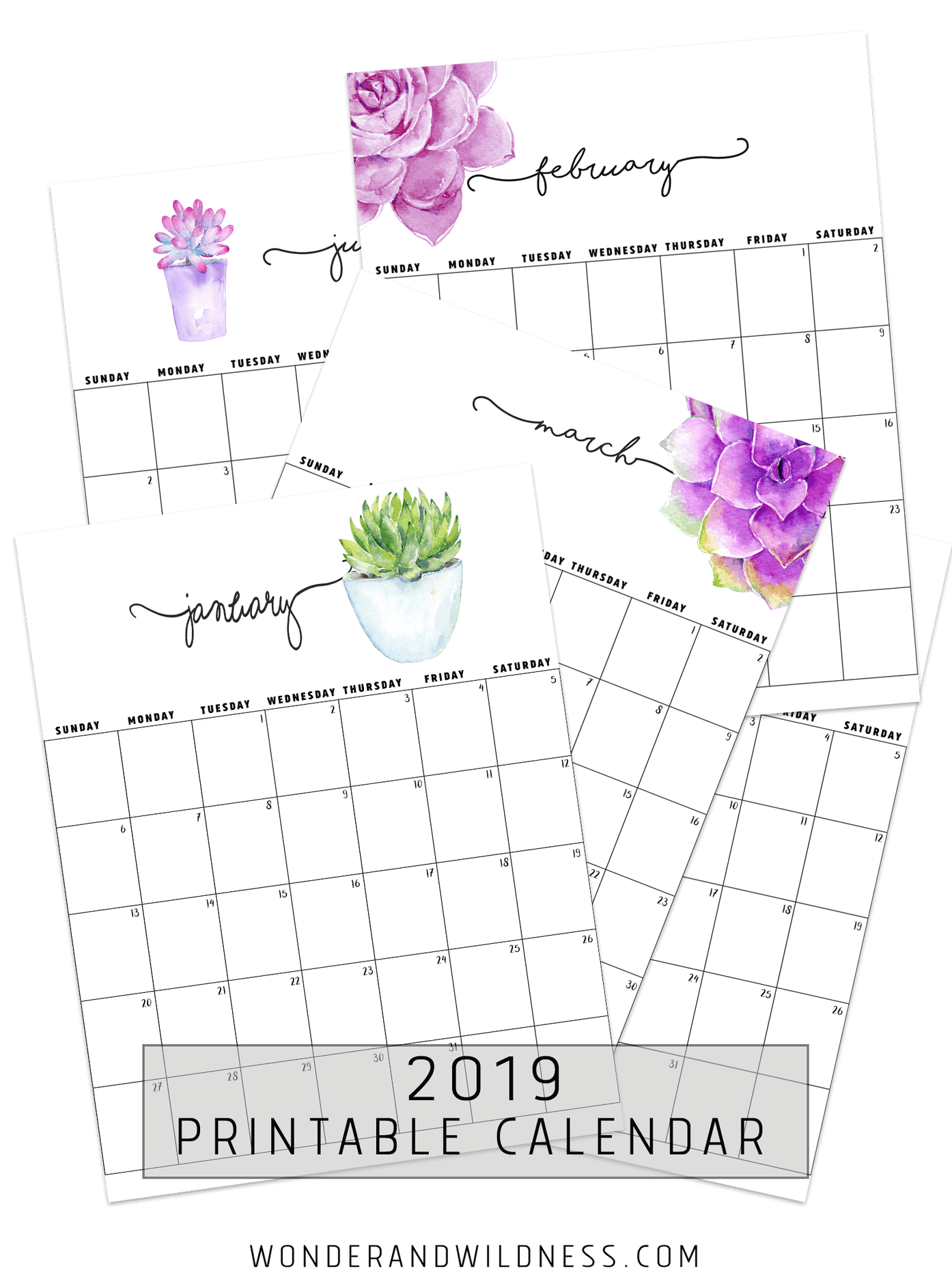 calendar-2019 wonder and wildness